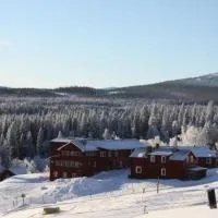 Renfjällsgården、Edsåsdalenのホテル