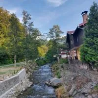 Dor de Munte Transfăgarasan, Hotel in Cîrţişoara