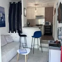Appart Entre Mer et Montagne, Linges Inclus – hotel w mieście Alénya