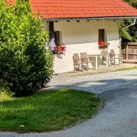 Ferienwohnung Waldhauser，Breitenberg的飯店