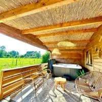 Cozy mediterranean style chalet with private jacuzzi and garden between Amsterdam Haarlem and Schiphol Airport, hotel di Vijfhuizen