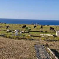 Wild Coast Grosvenor Holiday Home, hotel din Lusikisiki