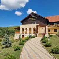 Pensiunea La Conac, viešbutis mieste Săliştea Veche