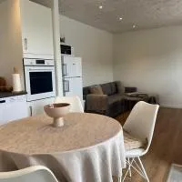 Central Living Billund - By Viktorija, viešbutis Bilunde