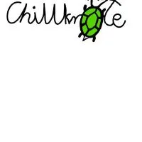 Chillkröte，巴特索伯恩海姆的飯店