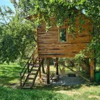 Apple Tree Cabin (Friendship Land) โรงแรมในŞelari
