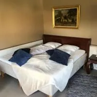 Hönshuset, hotel u gradu 'Köpingsvik'