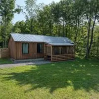 Viesnīca Vermont Scandinavian Chalet B pilsētā Wolcott