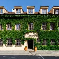 Hotel Tanzberg Mikulov, hotell i Mikulov