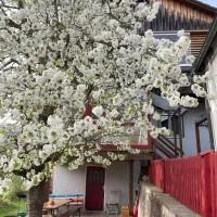 Obertraum Appartement und Ferienwohnung, hotel en Solnhofen