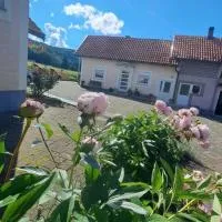 Apartman Kristina, Hotel in Otočac