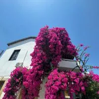 Burcu Guest Home, hotel sa Çağlayan