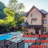 Pensiunea Petru, hotel v destinaci Şugag