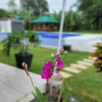 Benido Farm - A Secret Haven, hotel i San Jose