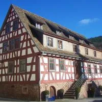 Roter Löwe, hotel u gradu 'Heiligkreuzsteinach'