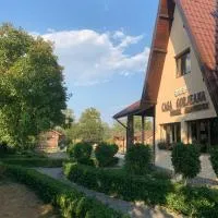 Casa Gorjeana Complex Agroturistic, hotel v destinaci Peştişani