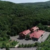 Tsaghkahovit Hotel, ξενοδοχείο σε Tsaghkadzor