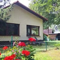 Ferienwohnung Am See mit kleinem Boot und 3er Kajak und 2 SUP, hotel en Storkow