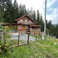 Cabana dintre brazi, hotel v destinaci Muntele Băişorii