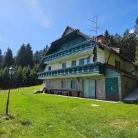 Apartma Jurček Rogla, ξενοδοχείο σε Rakovec