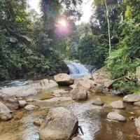 Rock Forest Chalet, Hotel in Bentong