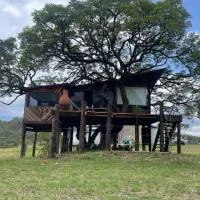Hangar 5 La Casita del Arbol, Hotel in San Lucas del Pulque