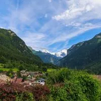 Charming Alpine Retreat by Apartments Capricorn, хотел в Gsteigwiler