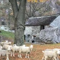 Rustico Gin Avegno Torbecc, Vallemaggia, Tessin,, hotel a Gordevio