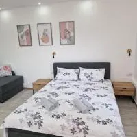 Zed Apartments, hotel en Leskovac
