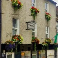 Inishross House, hotel u gradu New Ross