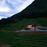 Dario Coos srl - Azienda vinicola, hotel em Sedilis