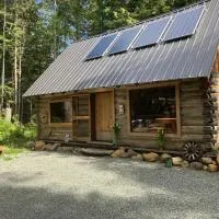 Mini Moo-light Cabin, hotell i Clearwater