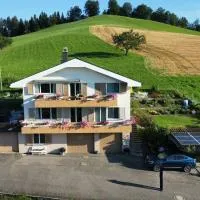 Swiss Alps, hotel en Brenzikofen