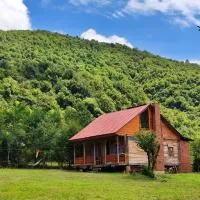 Forest Dream ტყის სიზმარი, hotel em Tsʼageri