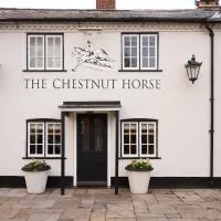 The Chestnut Horse, hotell i Winchester