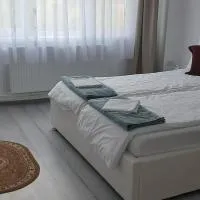 Apartament Antonia&Alex، فندق في Brad