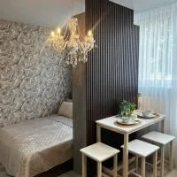Chic Residence apartament 2, готель у місті Шяуляй