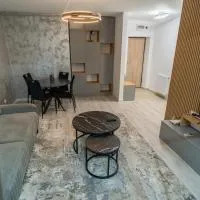 Hills Residence Premium Apartment in Pallady，Căţelu的飯店