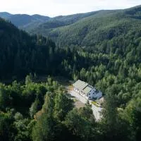 Bucoville, khách sạn ở Suceviţa
