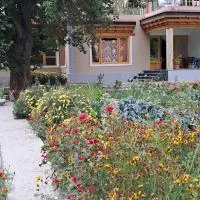 KARMA Homestay Sumur Nubra, hotel em Vale de Nubra