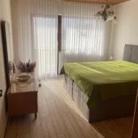 Ferienwohnung Elli, Hotel in Nieder-Olm