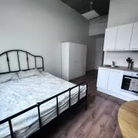 LKS apartments 2، فندق في Kose