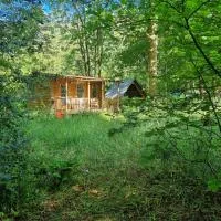 The Shack in the Woods- Off Grid, hotel Redditchben