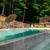 Oasis Karpat, hotel v destinácii Polyana