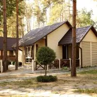 Комплекс На Дачі, hotel in Vyshpolʼ