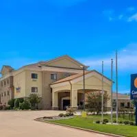 Comfort Suites Lindale, Hotel in Lindale