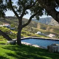 Quinta da Côrte, hotel en Valença do Douro