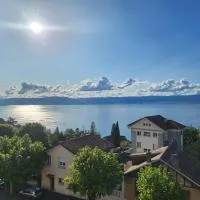 Hôtel Savoie Léman, hotel en Thonon-les-Bains
