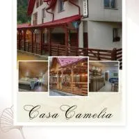 Casa Camelia, hotel sa Săcel