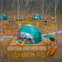 Domes at Catskills, hotelli kohteessa Swan Lake